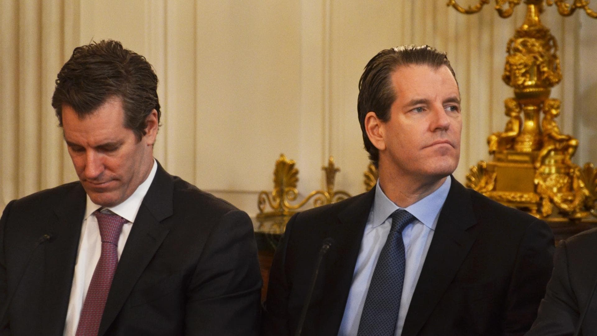 Gemini Winklevoss Naik 25% Setor $100 Juta Bitcoin, Padahal Masih Rugi