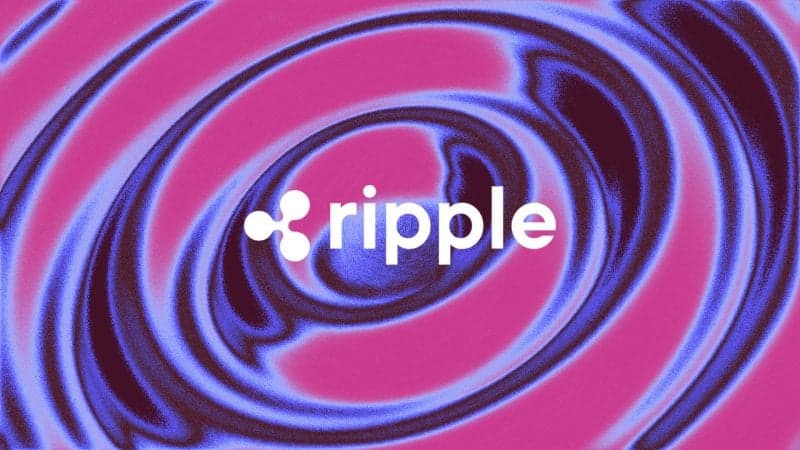 CEO Ripple: Michael Saylor Bikin Pasar Crypto Terpuruk?